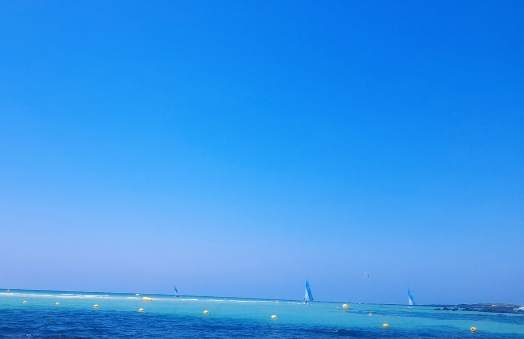 프로필사진
