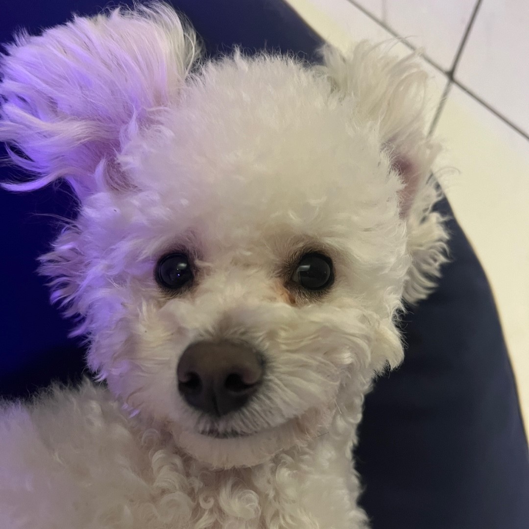 프로필사진