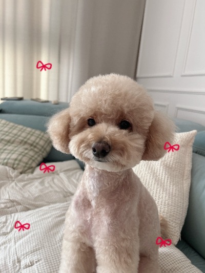 블로그 이미지