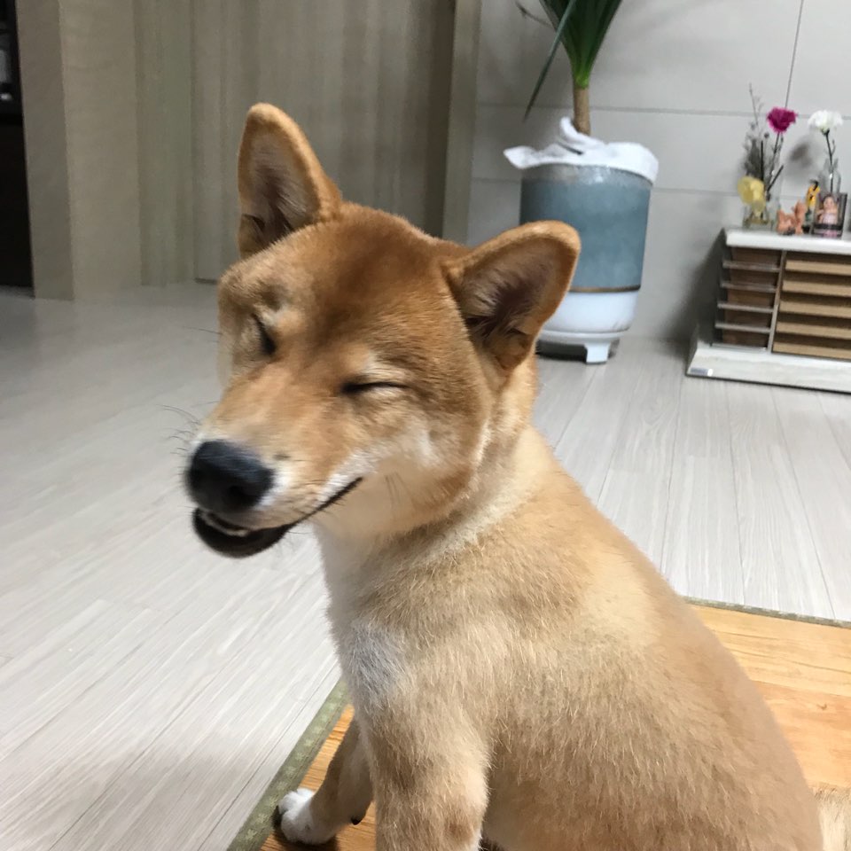 블로그 이미지