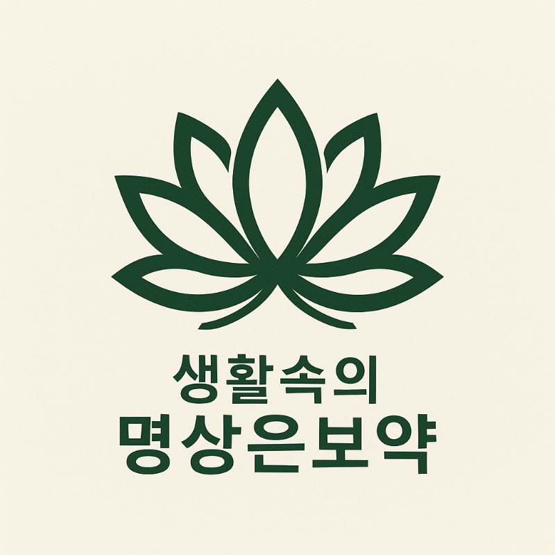 블로그 이미지