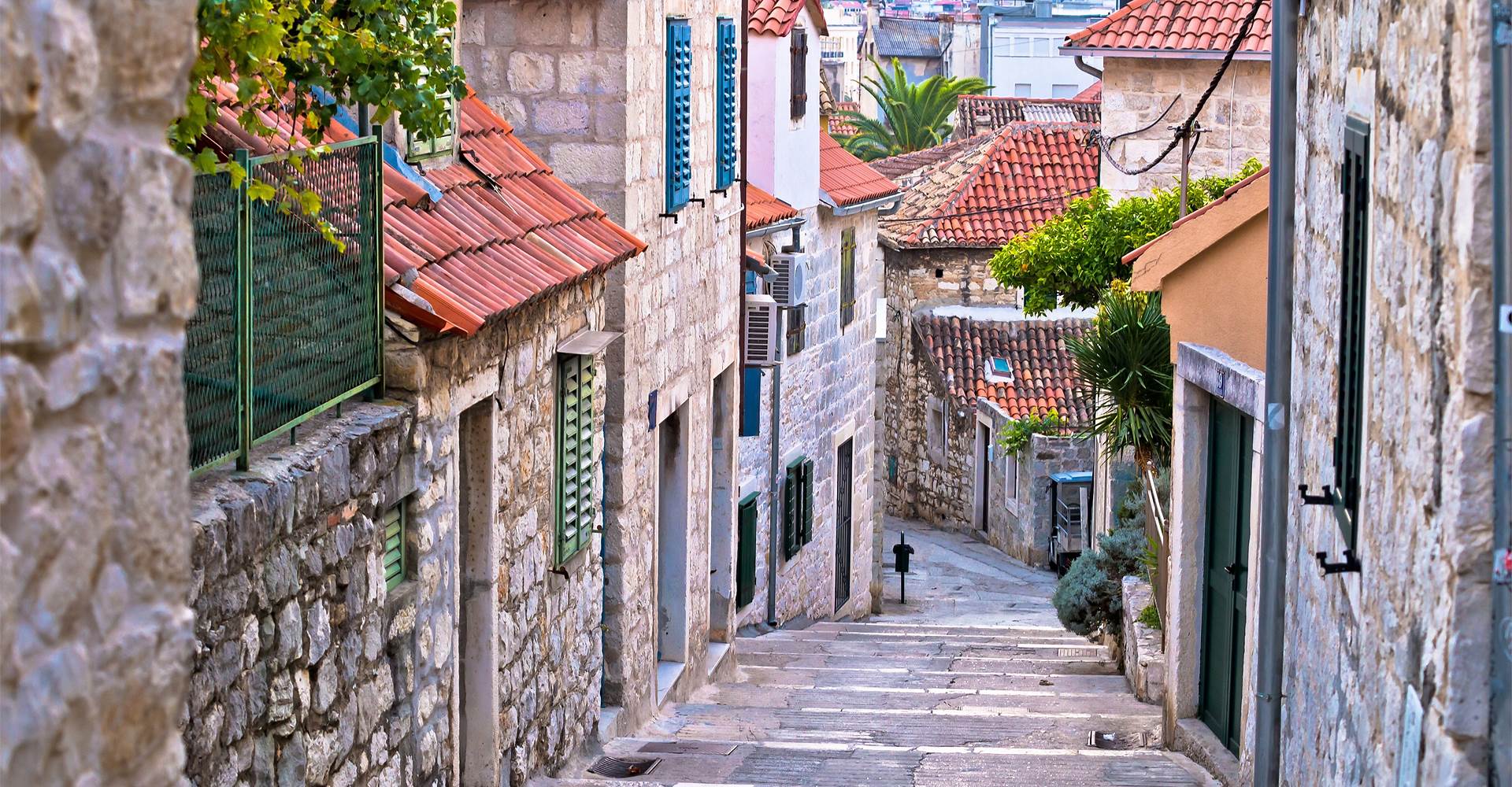 fiftyplus 님의 블로그