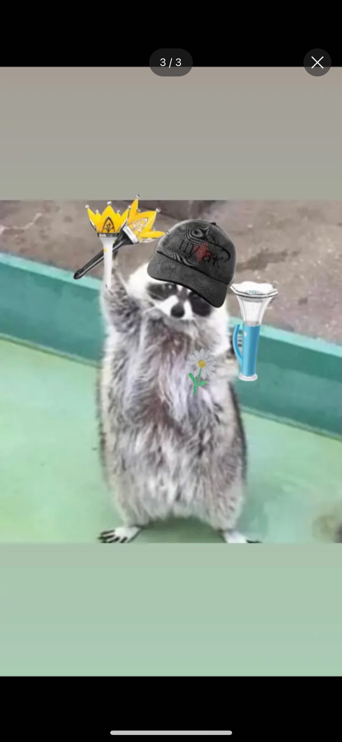 프로필사진