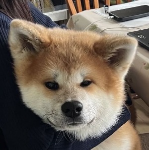프로필사진