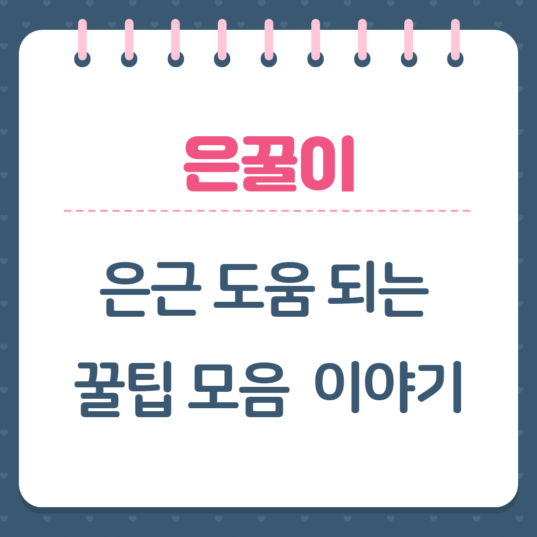 프로필사진