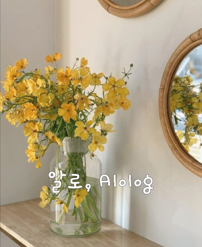 블로그 이미지