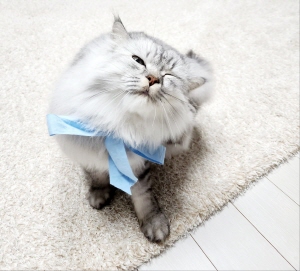 프로필사진