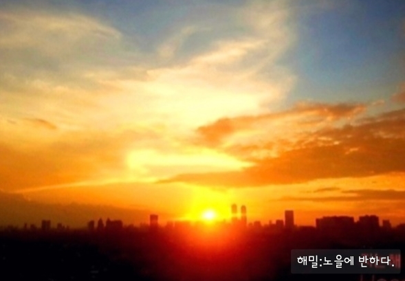 프로필사진