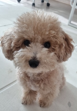 블로그 이미지