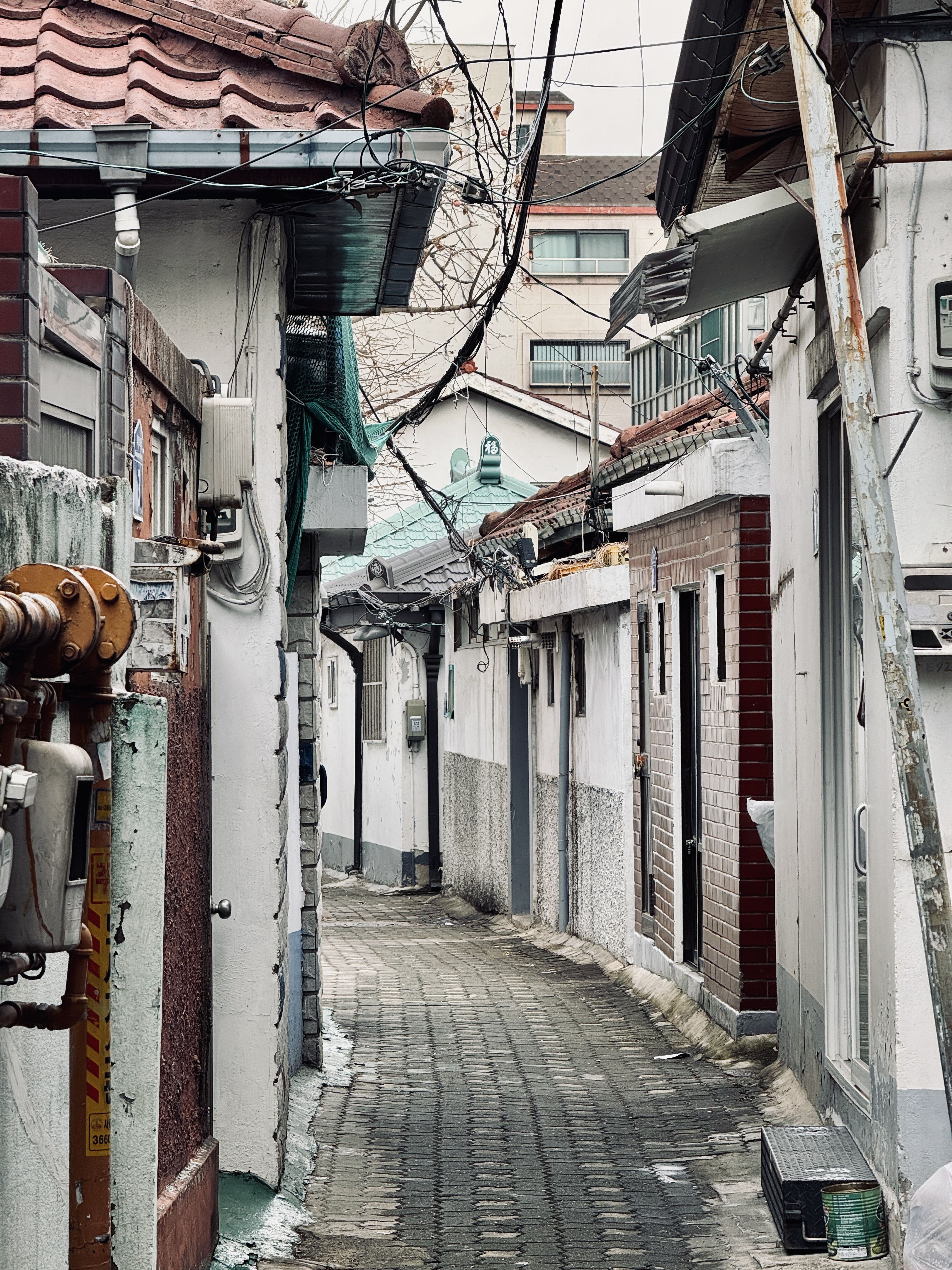 프로필사진
