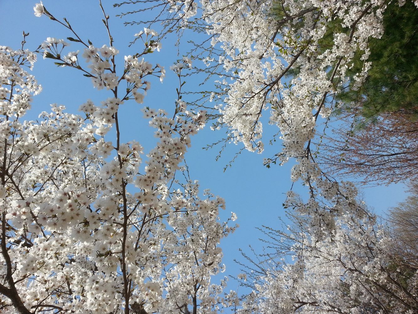 프로필사진