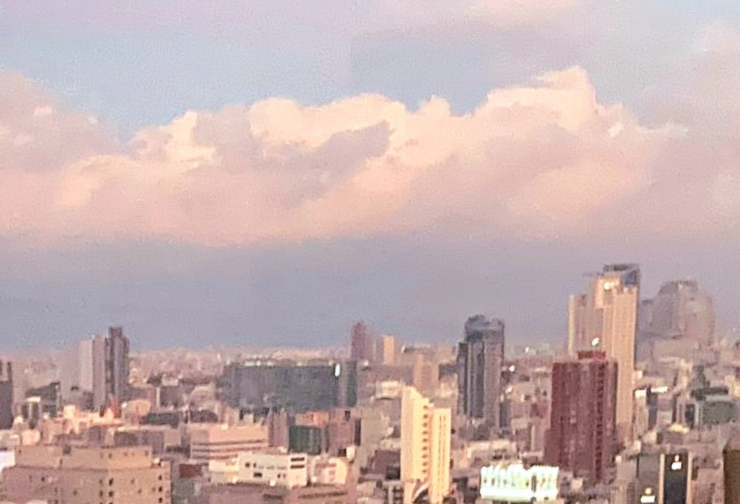 프로필사진