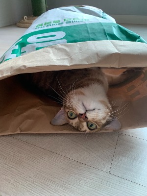 블로그 이미지