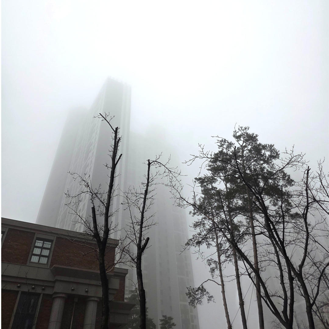 프로필사진