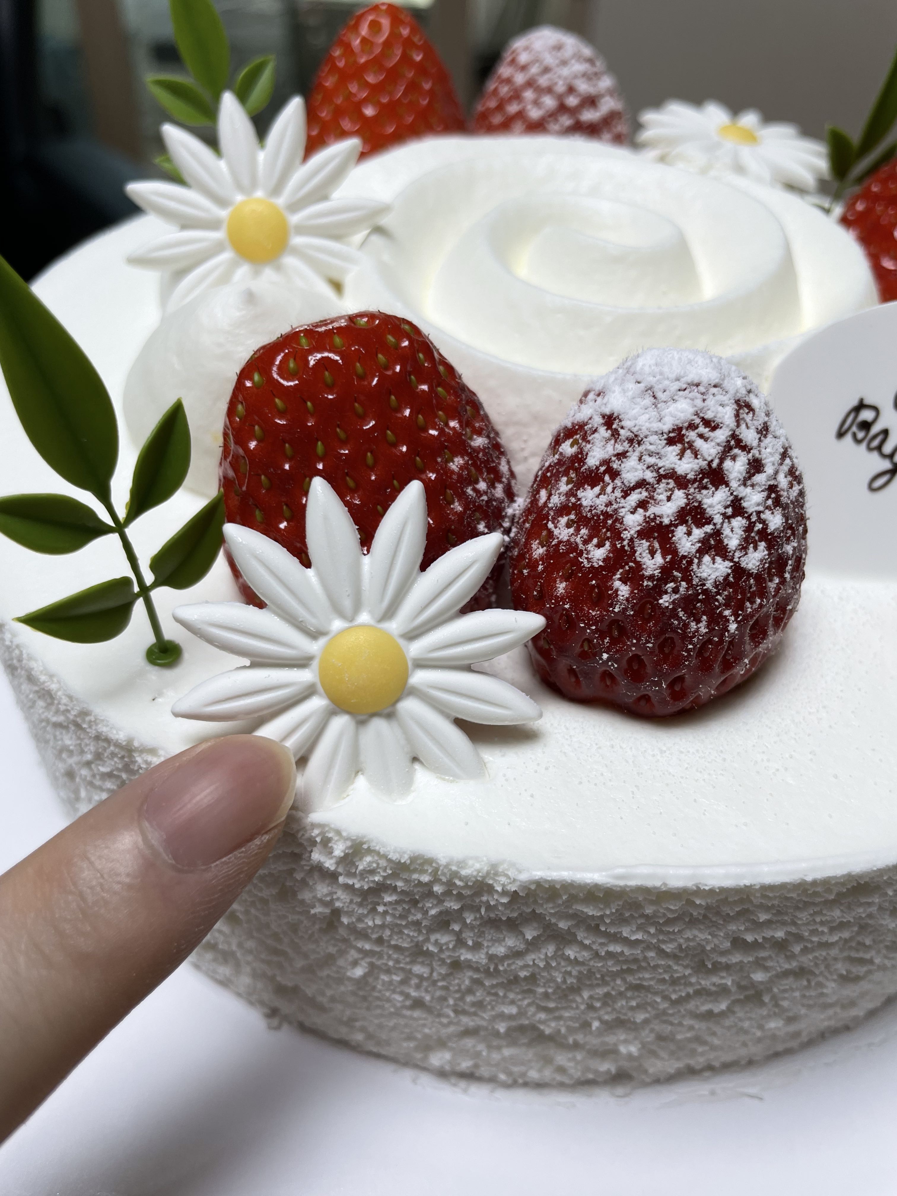 프로필사진