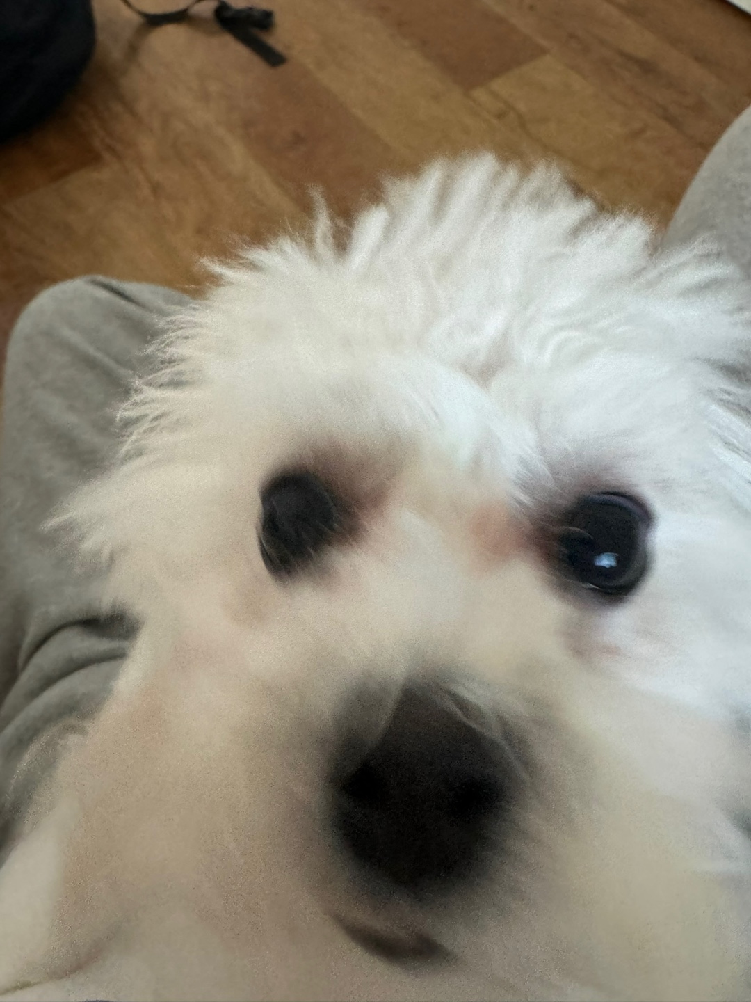프로필사진