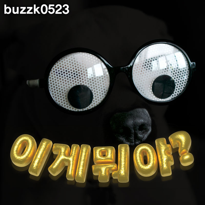 블로그 이미지