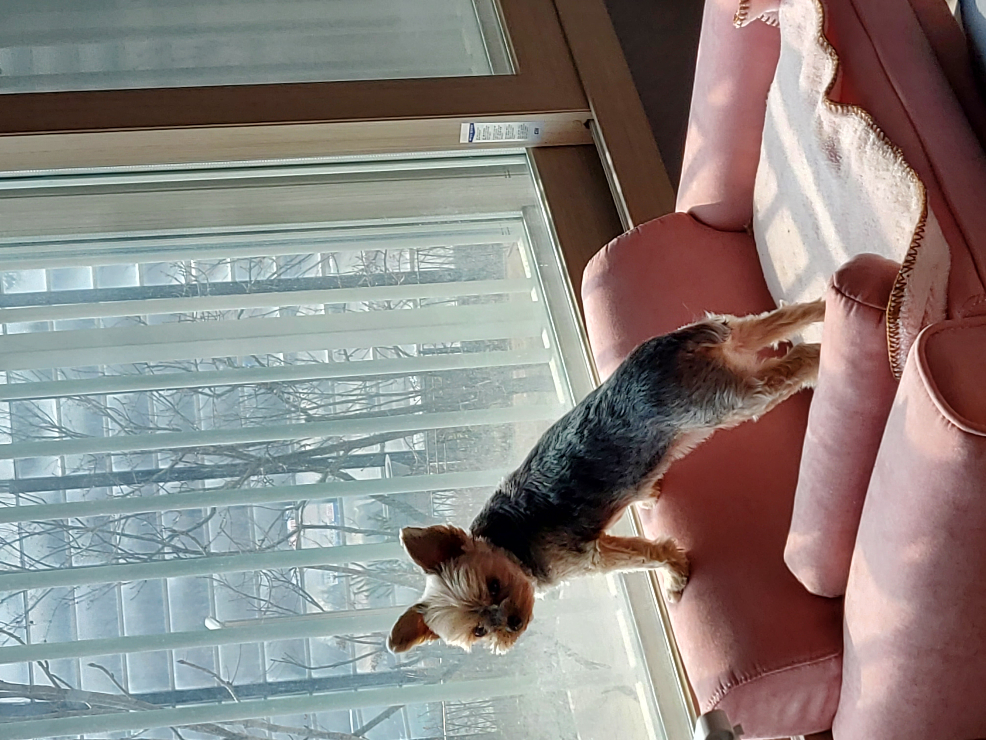 프로필사진