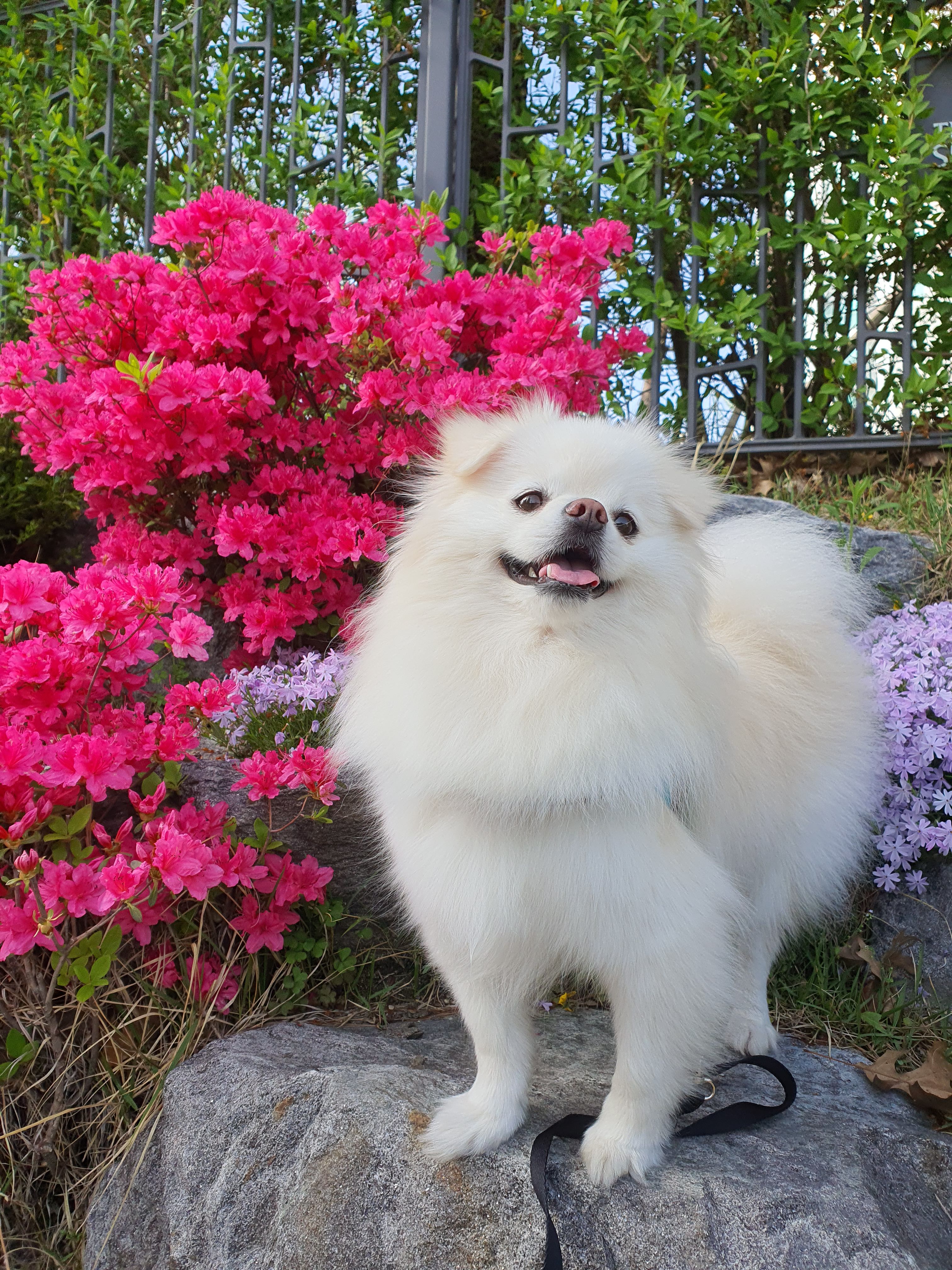 프로필사진
