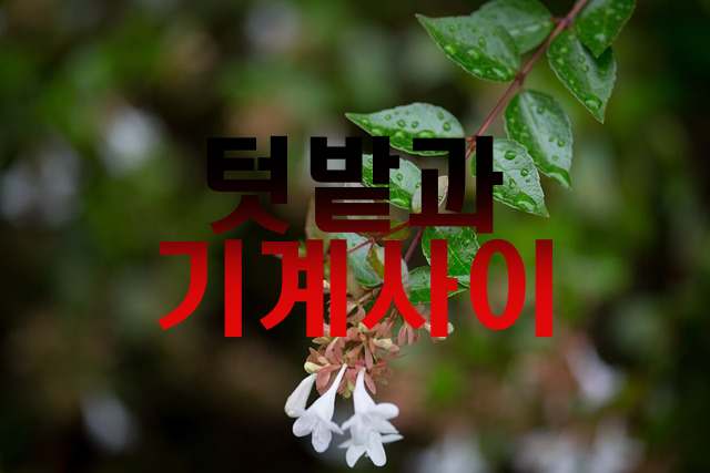 블로그 이미지