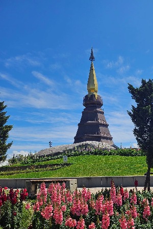 프로필사진