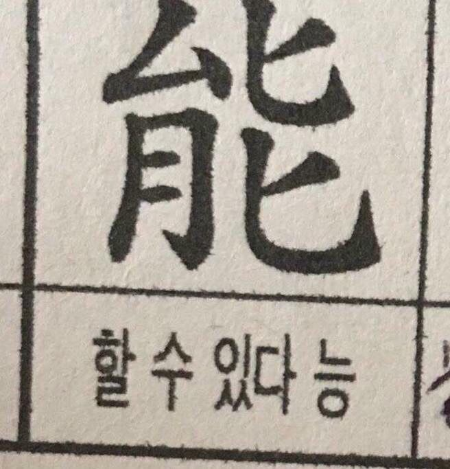 프로필사진