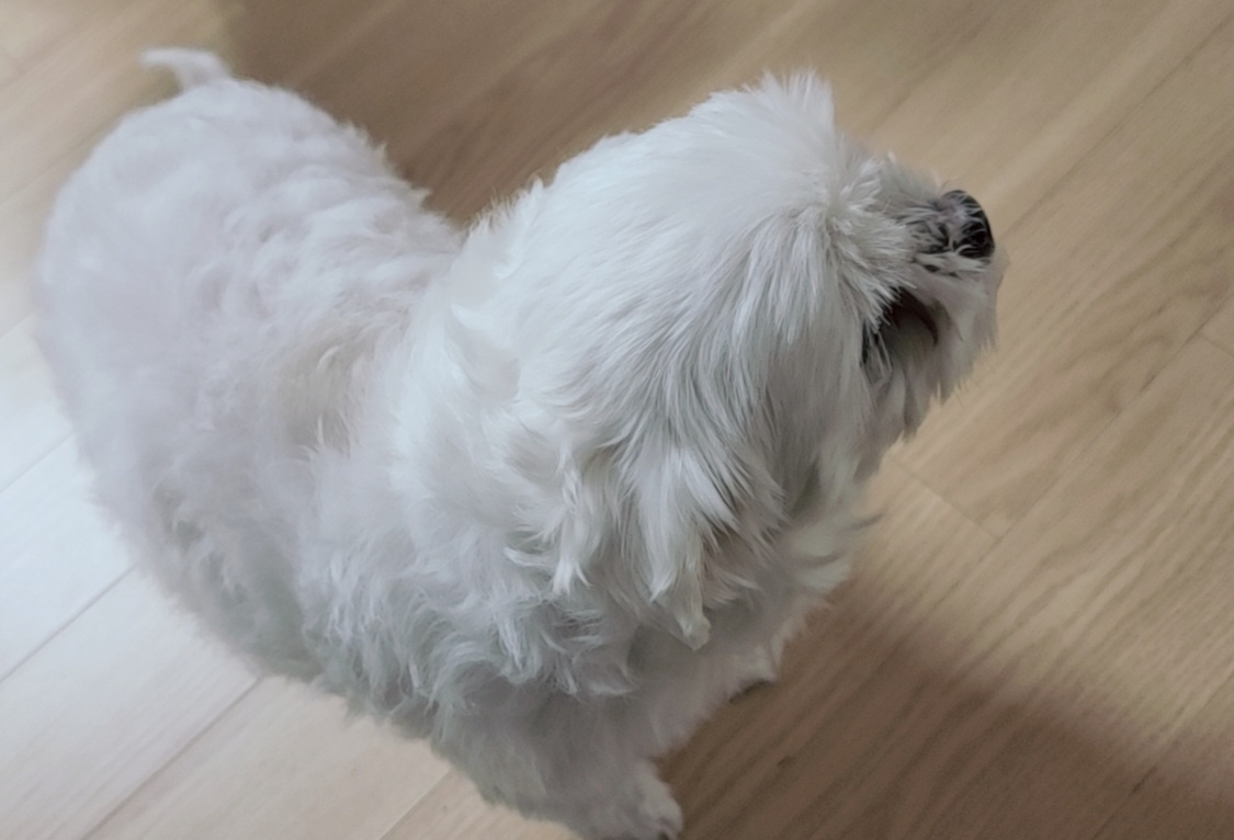 프로필사진
