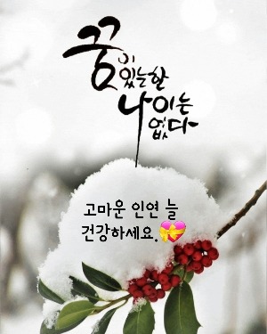 프로필사진