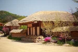프로필사진