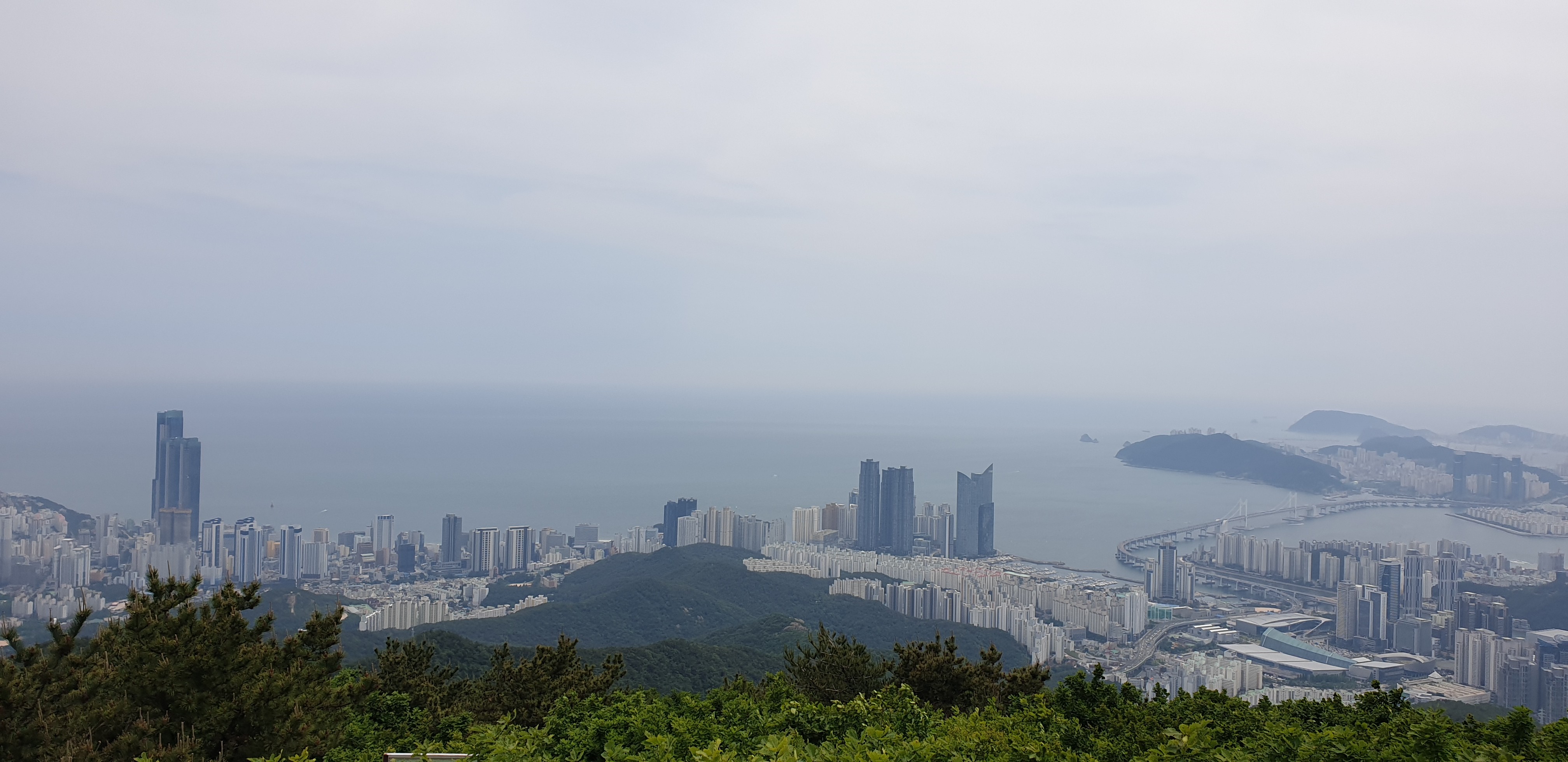 프로필사진