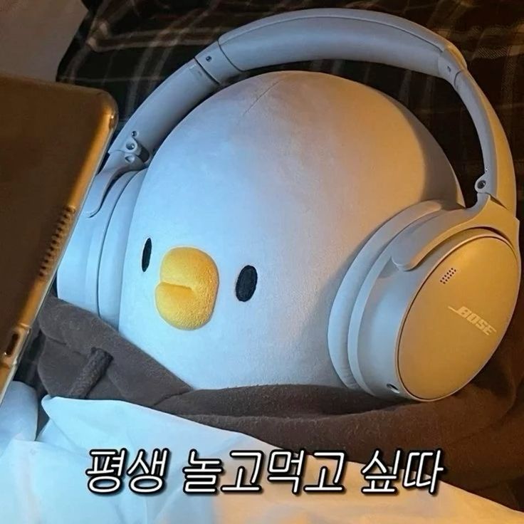 프로필사진