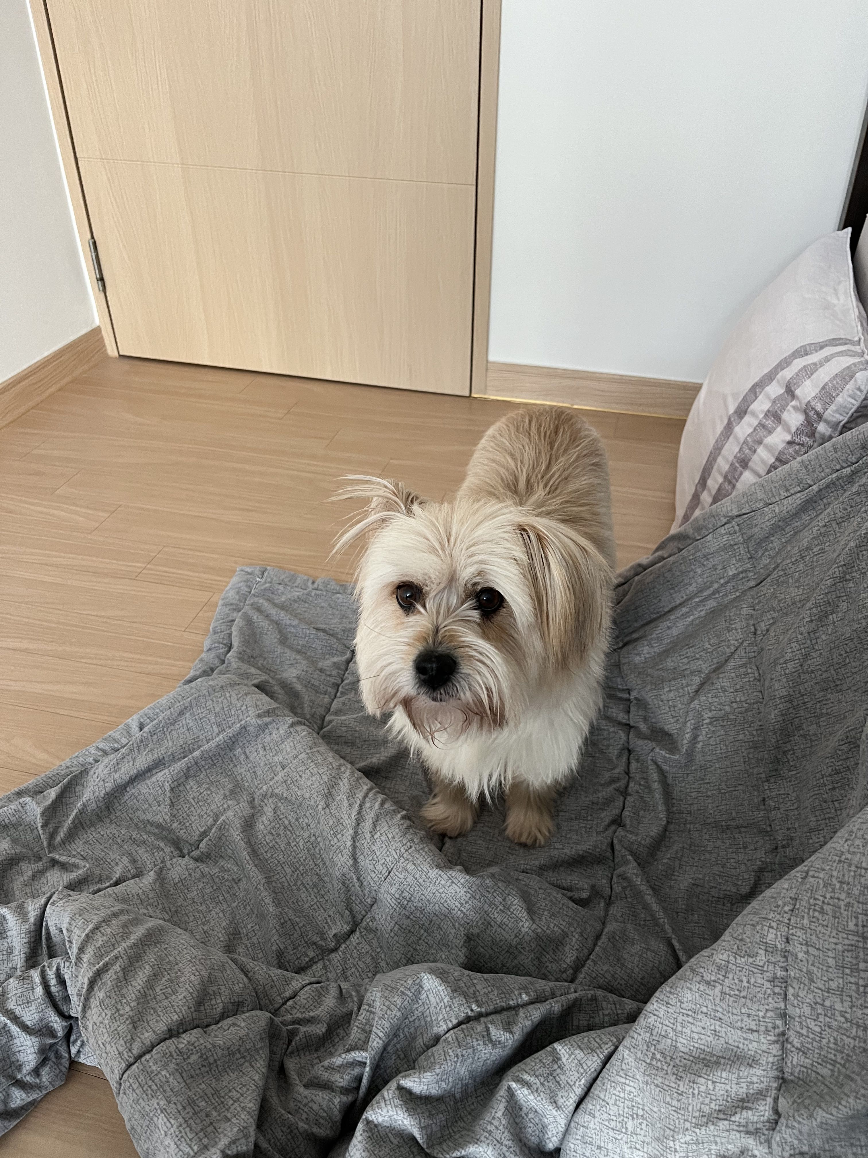 프로필사진