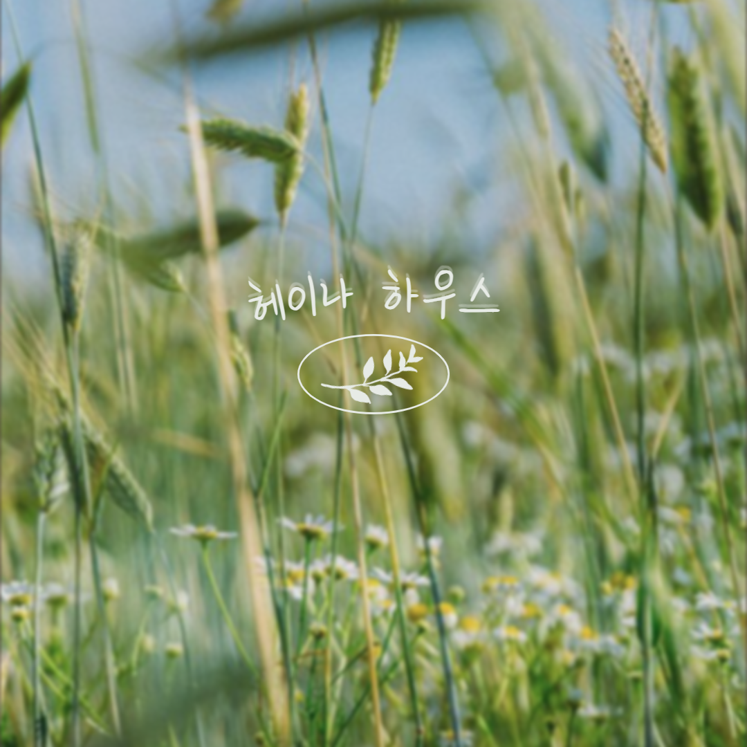 블로그 이미지