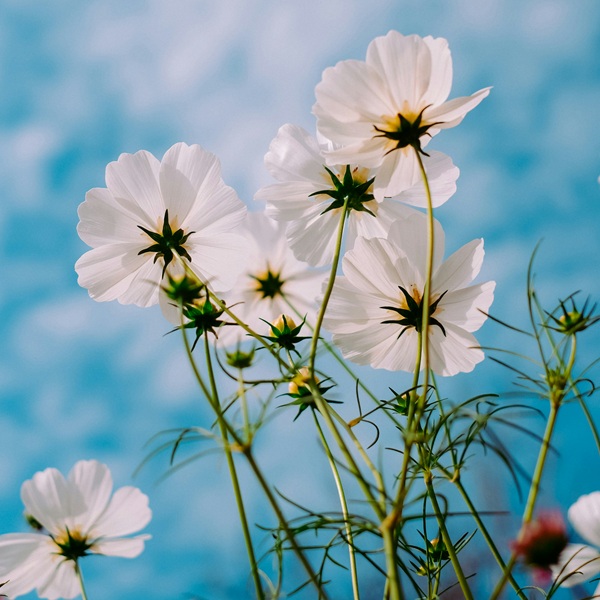 프로필 배경