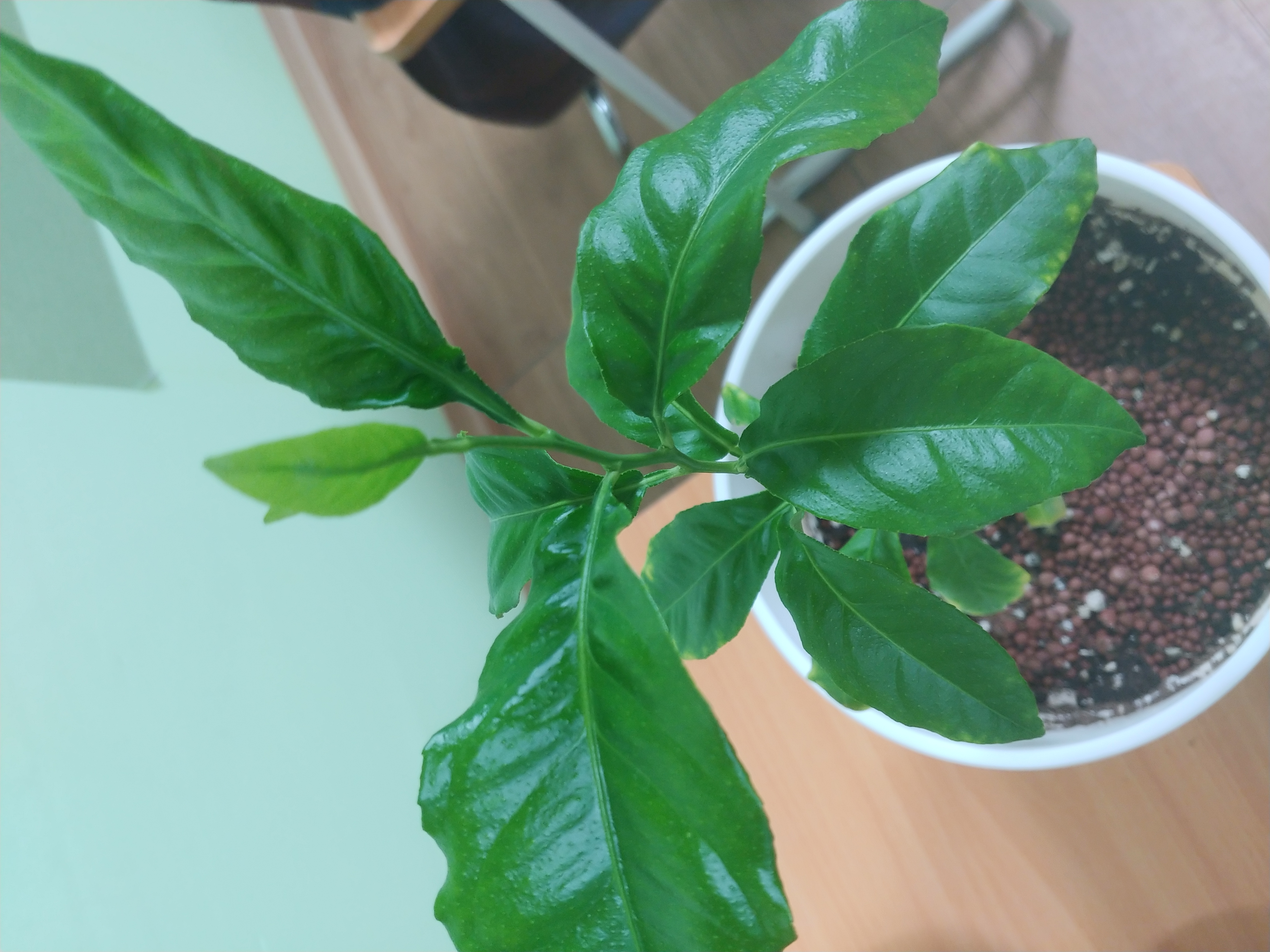 프로필사진