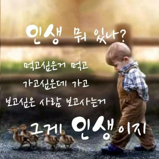 프로필사진