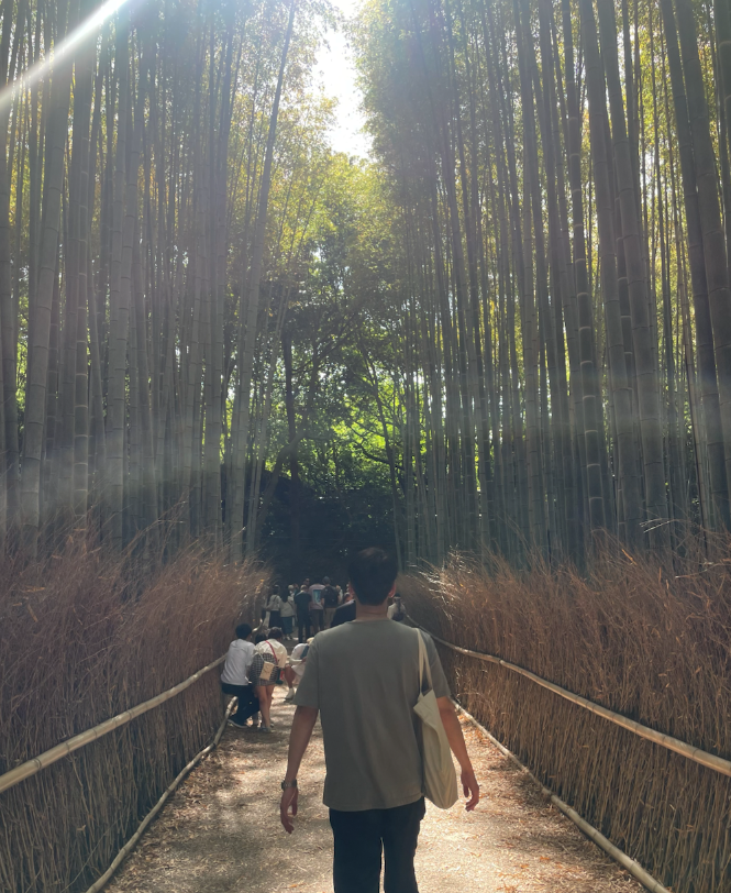 이래저래 관심사 노트