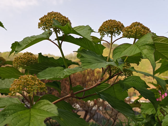 creator8163 님의 블로그