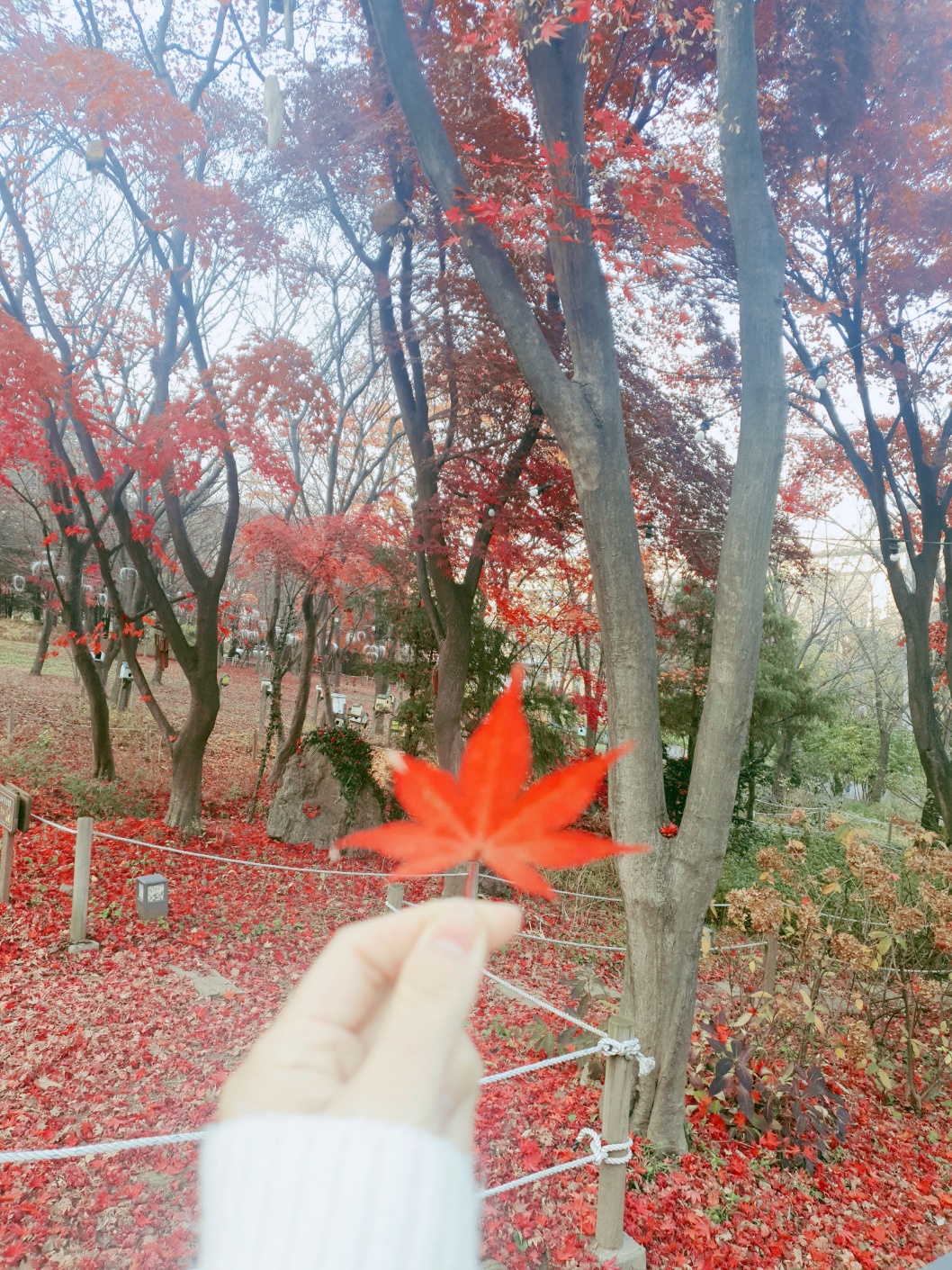 프로필사진