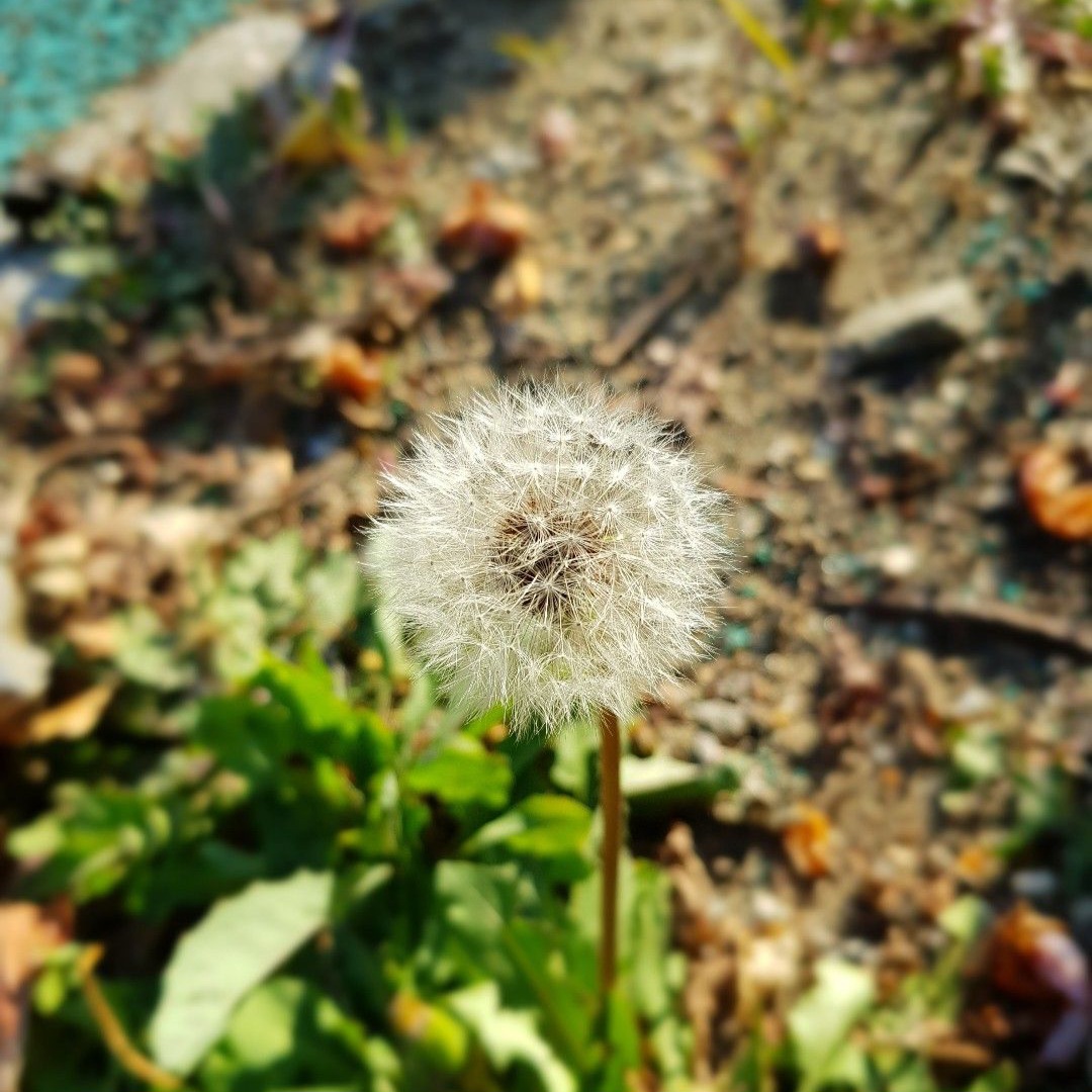 프로필 로고
