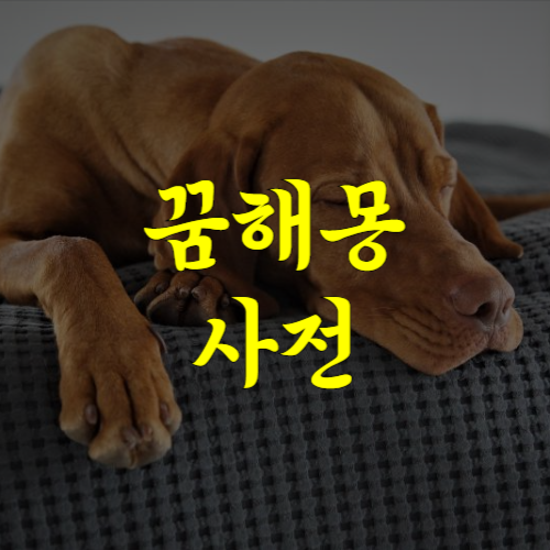 블로그 이미지