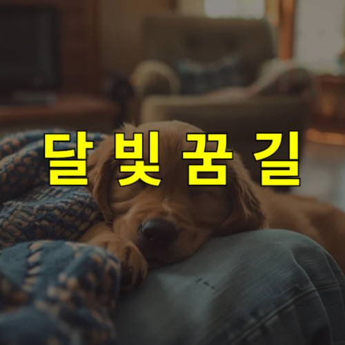 블로그 이미지