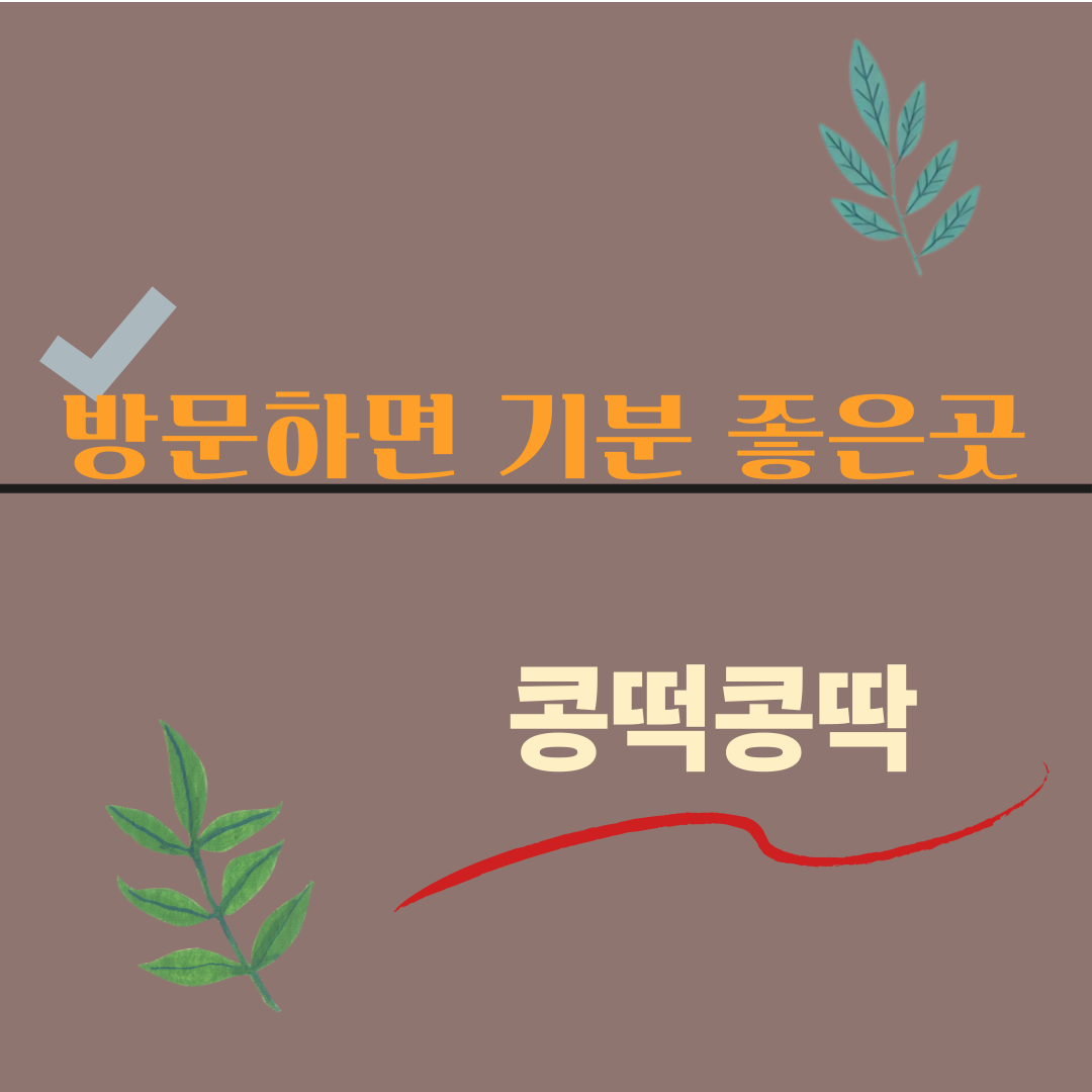 블로그 이미지