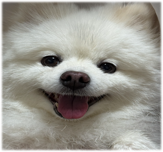 프로필사진