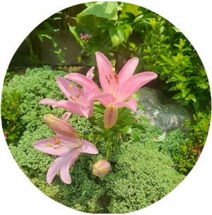 프로필사진