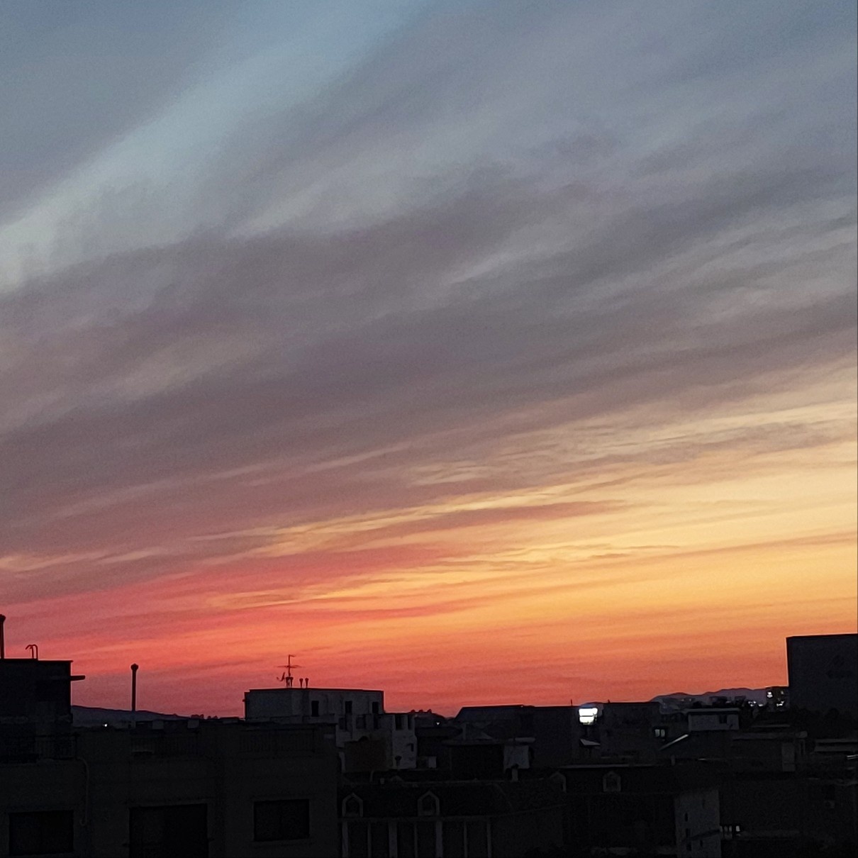 프로필 로고
