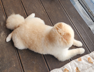 프로필사진