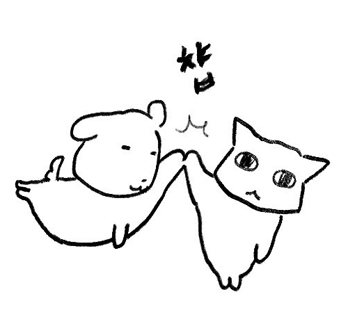 프로필사진