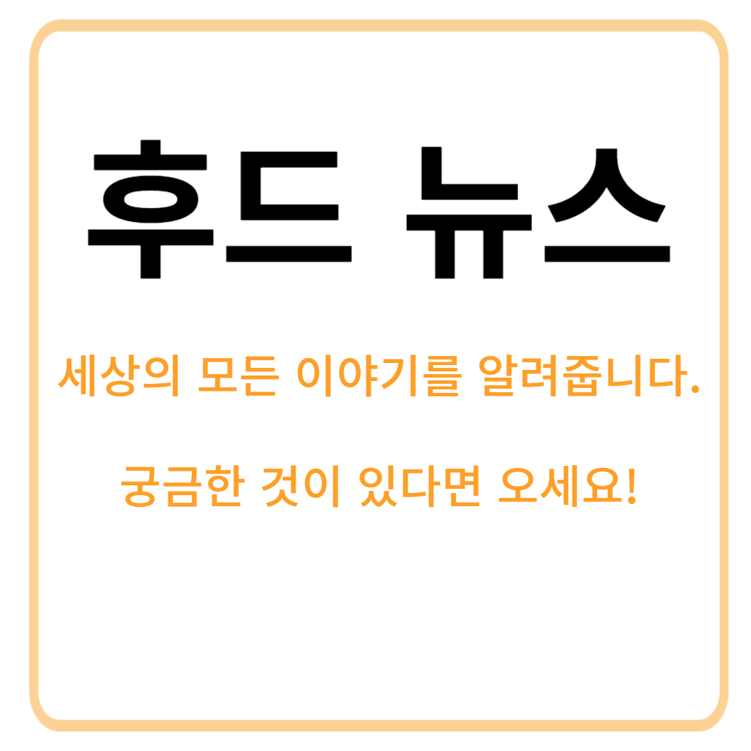 프로필사진
