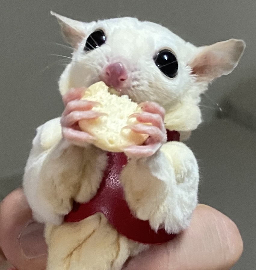 프로필사진